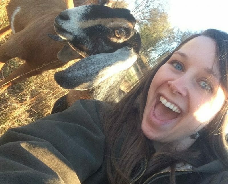 Keeping Small Herd Goat Records