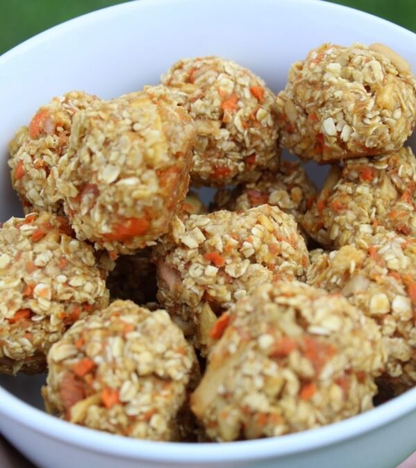 Sweet Carrot Sugar Horse Treats – Log