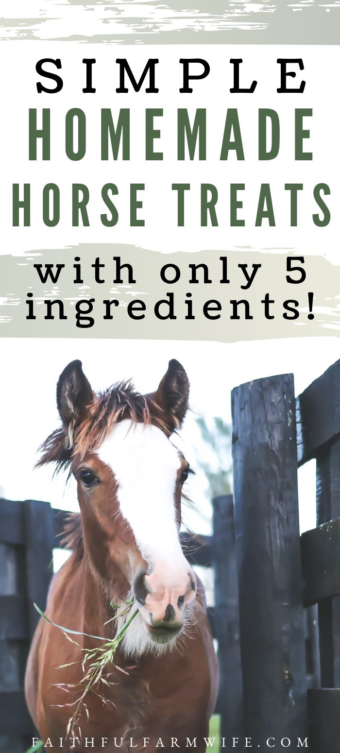 How to Make Simple Homemade Horse Treats Mama on the Homestead