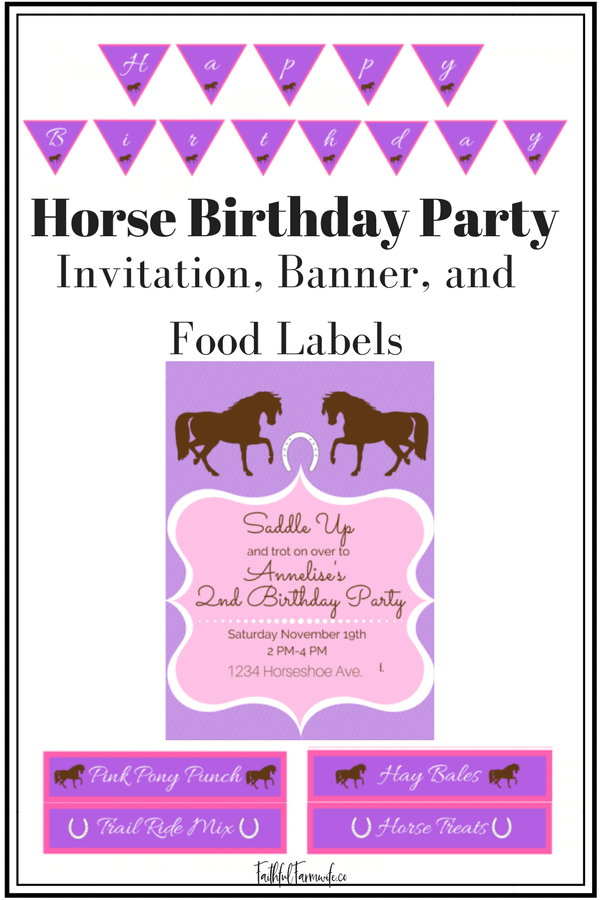 Horse Birthday Party Activities, Food, &amp; Decorations