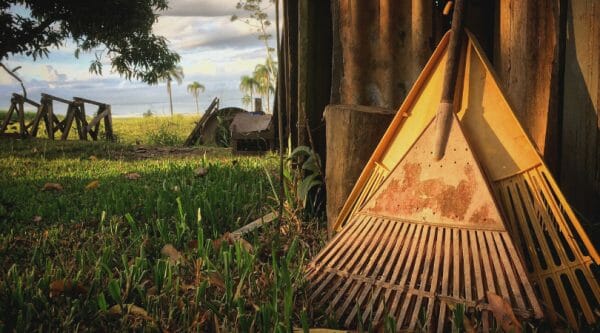 30+ Basic Homestead Skills You Need to Learn | Faithful Farmwife