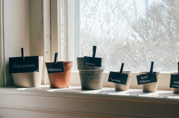 30+ Basic Homestead Skills You Need to Learn | Faithful Farmwife