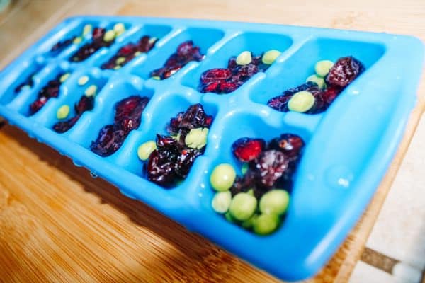 How to Make Homemade Summer Chicken Treats | Faithful Farmwife