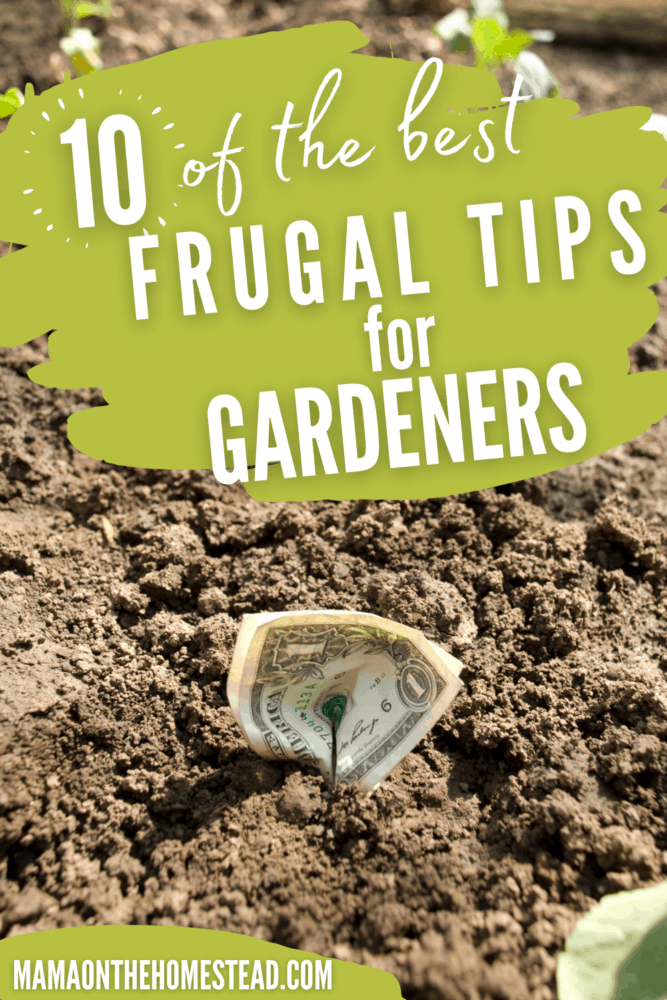 Image of dollar bills in garden soil. Words: 10 of the Best Frugal Tips for Gardeners Pin Image