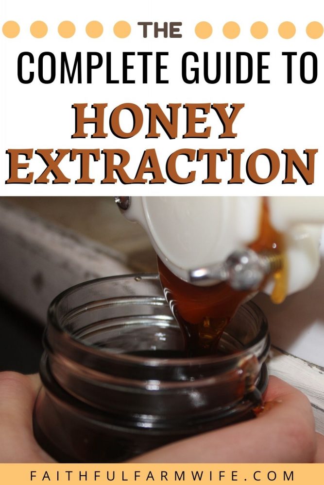 How to Extract Honey With a HandCrank Extractor Mama on the Homestead
