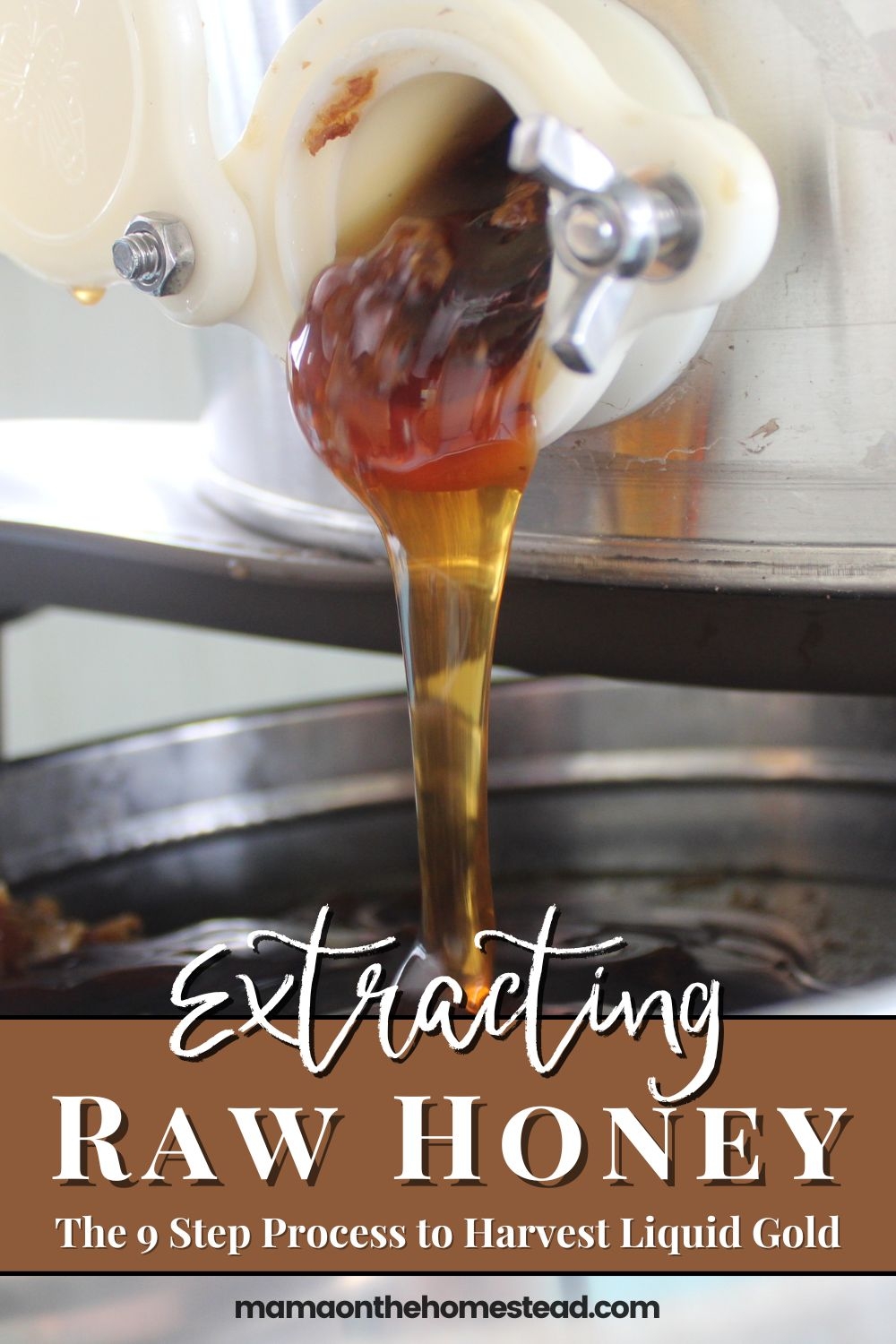 How to Extract Honey from Backyard Beehives Mama on the Homestead