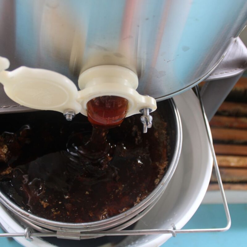 Extracting Honey and straining through a metal sieve