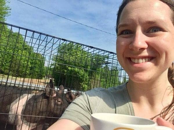 Transporting Pigs | 70+ Practical Homesteading Essentials You Need for Self-Sufficiency | Faithful Farmwife