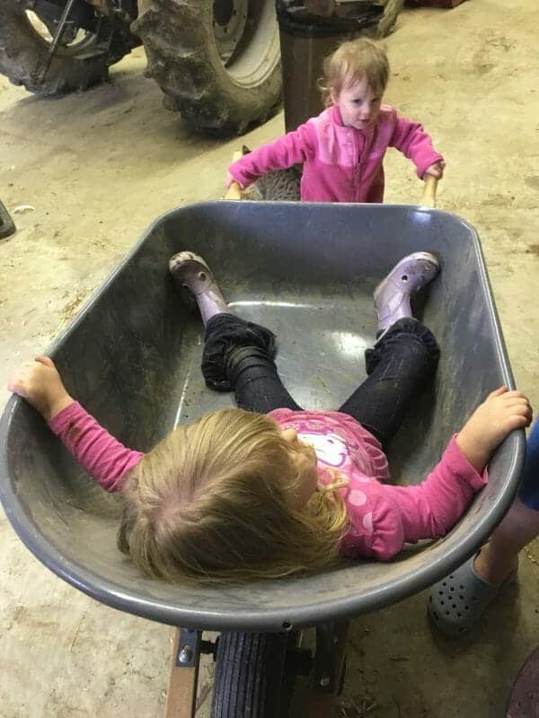 Girls playing in wheelbarrow | 70+ Practical Homesteading Essentials You Need for Self-Sufficiency | Faithful Farmwife
