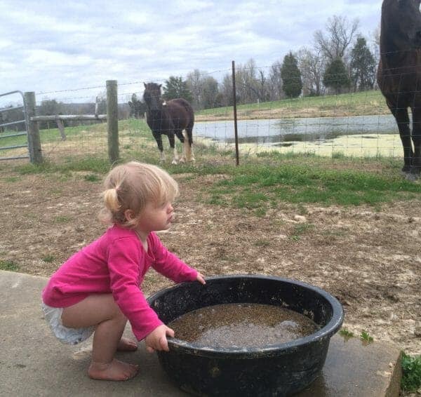 Girl Feeding Horses | 70+ Practical Homesteading Essentials You Need for Self-Sufficiency | Faithful Farmwife