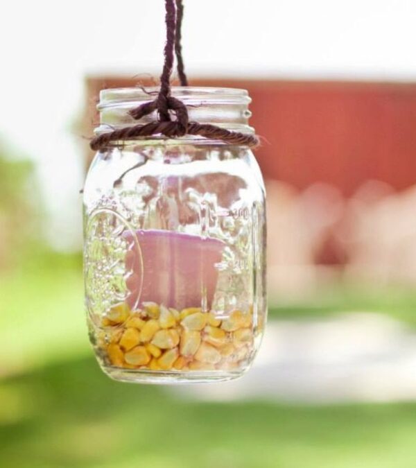 30+ of the Best Mason Jar Uses for Your Home Mama on the Homestead