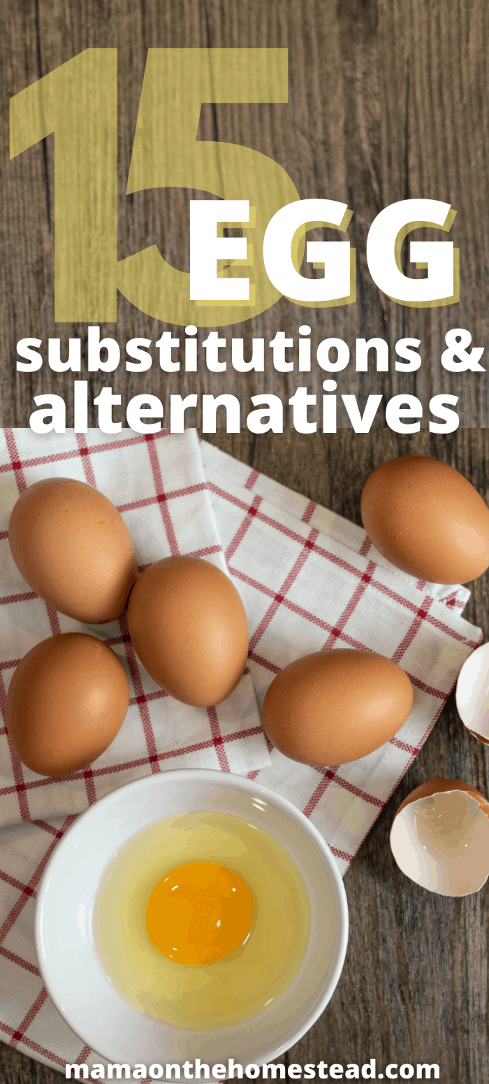 15 Simple Egg Substitutions for LastMinute Baking Mama on the Homestead