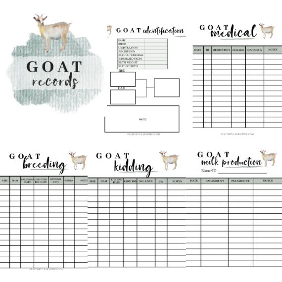The Goat Record Book | Faithful Farmwife