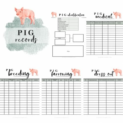 The Pig Record Book PDF Mama on the Homestead