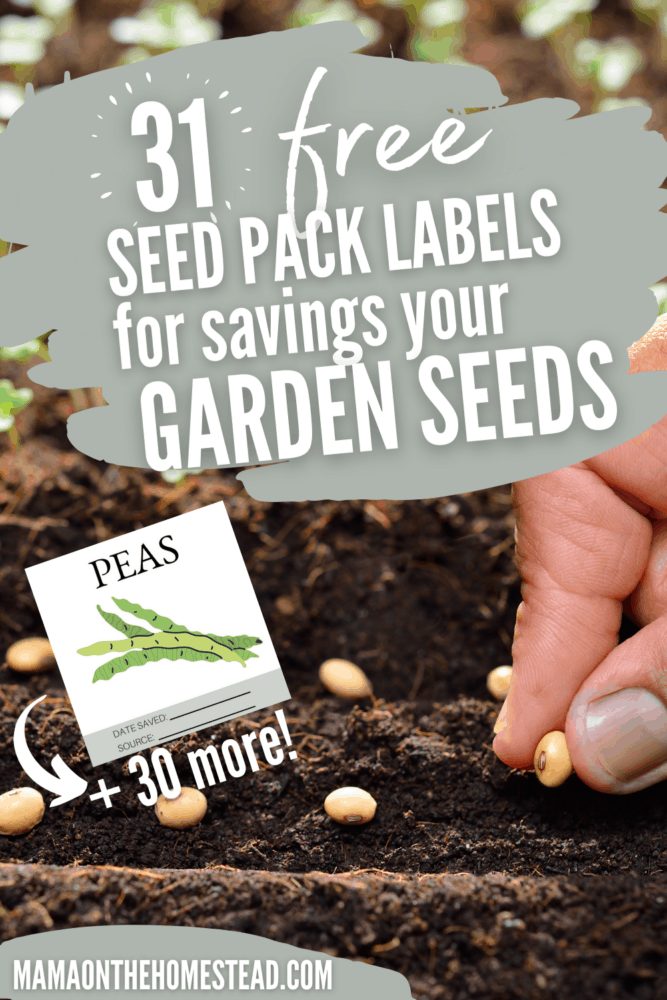 Image of a person planting seeds. Words: 31 FREE Seed Pack Labels for saving your garden seeds. Pin Image