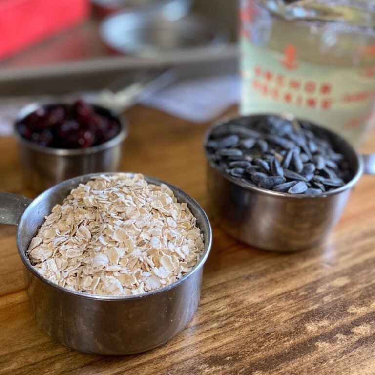 Winter Chicken Treats Homemade Lard Cakes or Suet Cakes Mama on the