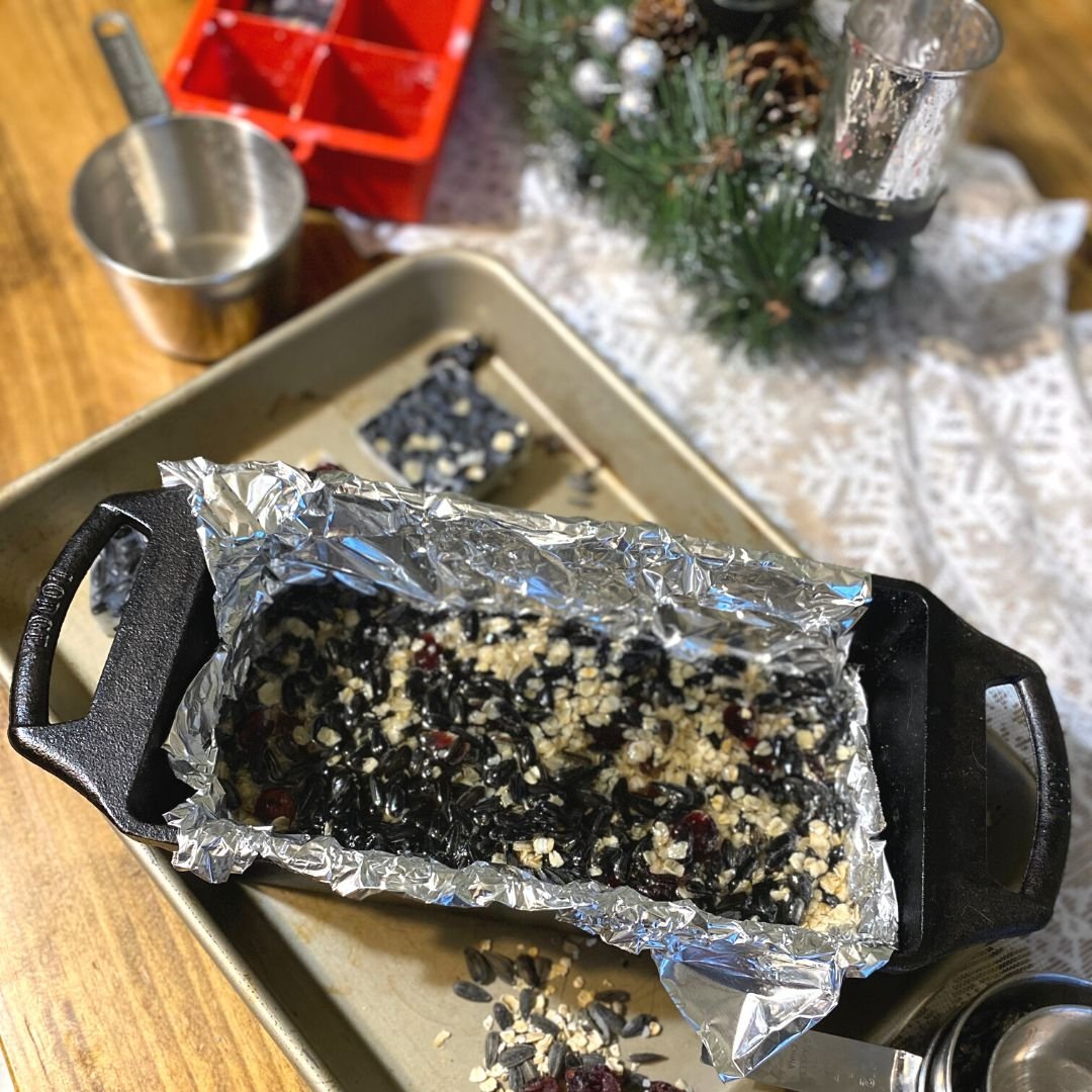 Winter Chicken Treats Homemade Lard Cakes or Suet Cakes Mama on the