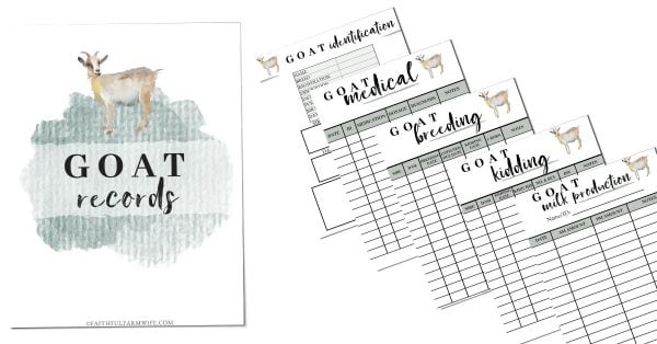 The Goat Record Book | Faithful Farmwife