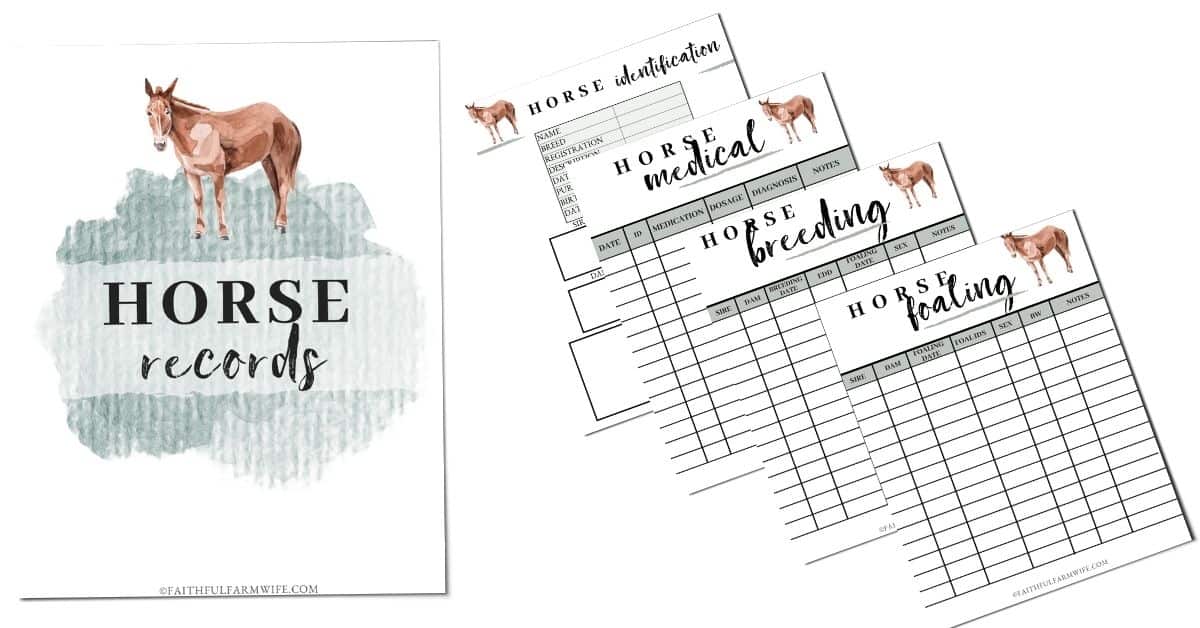 The Horse Record Book PDF Mama on the Homestead