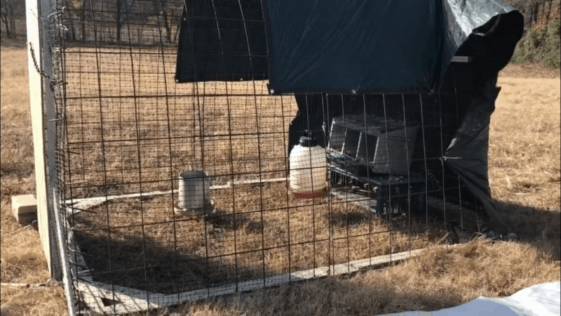 How to Winterize a Chicken Tractor | Faithful Farmwife
