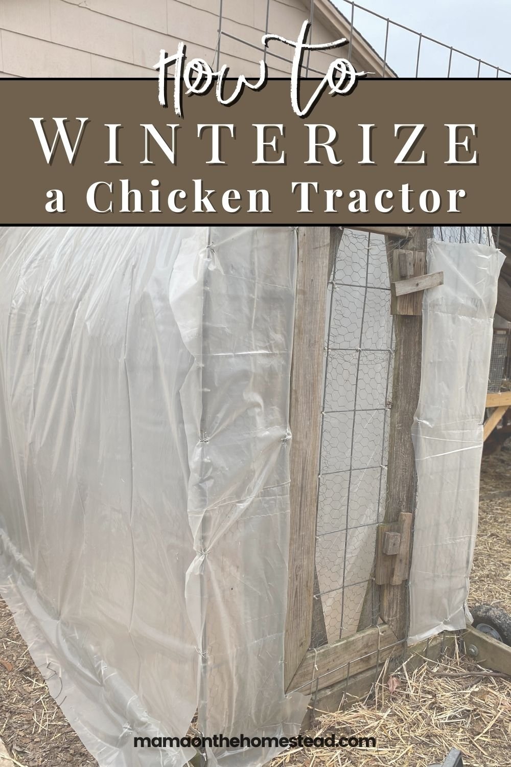 How to Winterize a Chicken Tractor Mama on the Homestead
