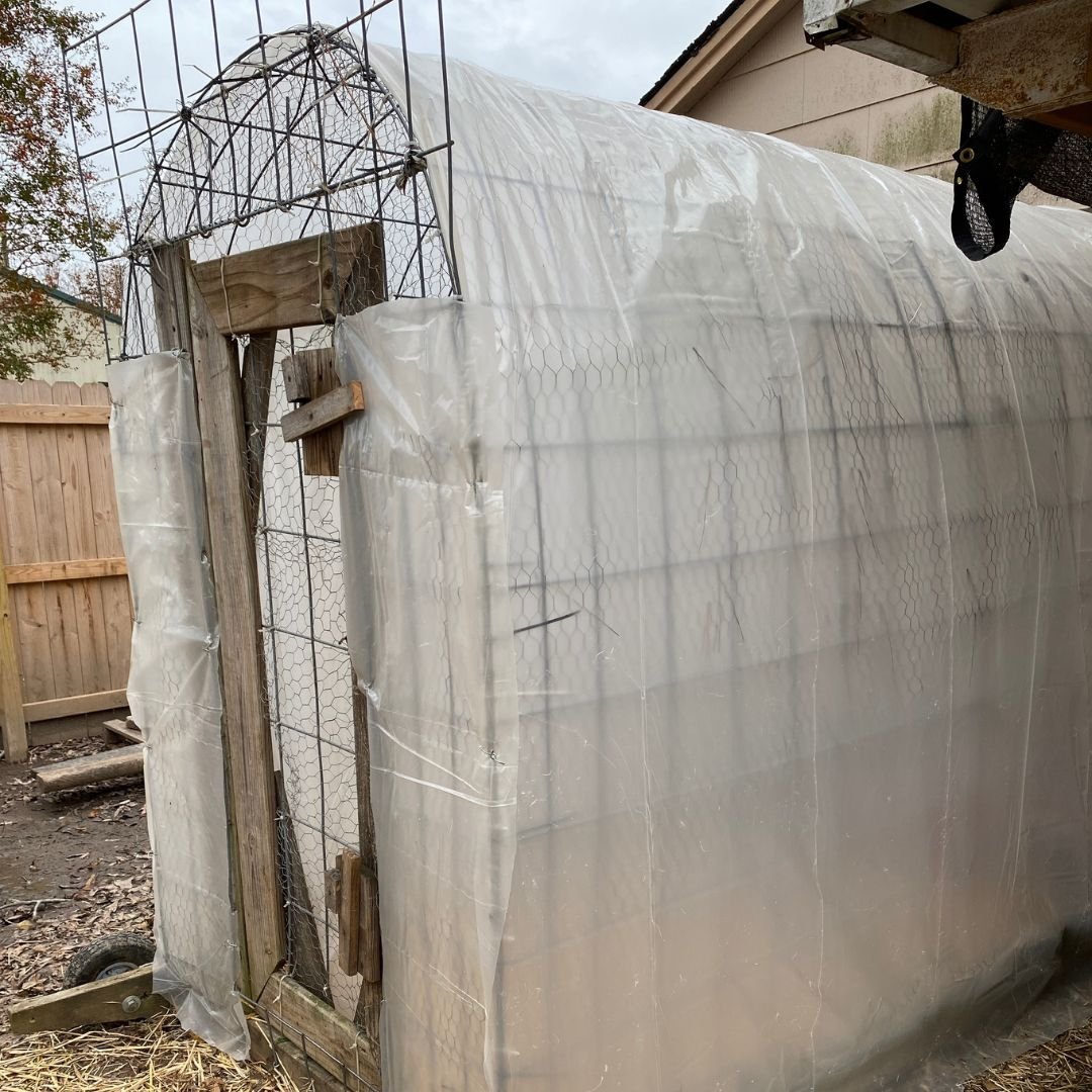 How to Winterize a Chicken Tractor Mama on the Homestead
