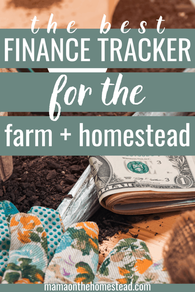 Image of cash in a garden. Words: The Best Finance Tracker for the Farm + Homestead. Pin Image