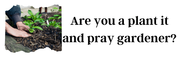 Are you a plant it and pray gardener?