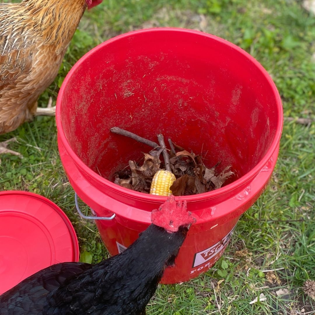 DIY Compost Bin How to Build a Bucket Compost Bin Mama on the Homestead