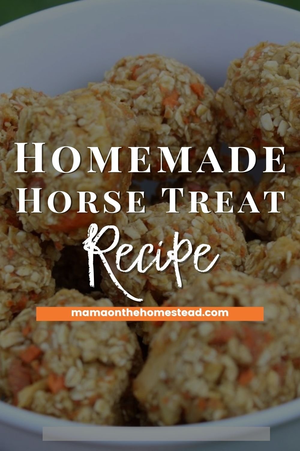 How to Make Simple Homemade Horse Treats Mama on the Homestead