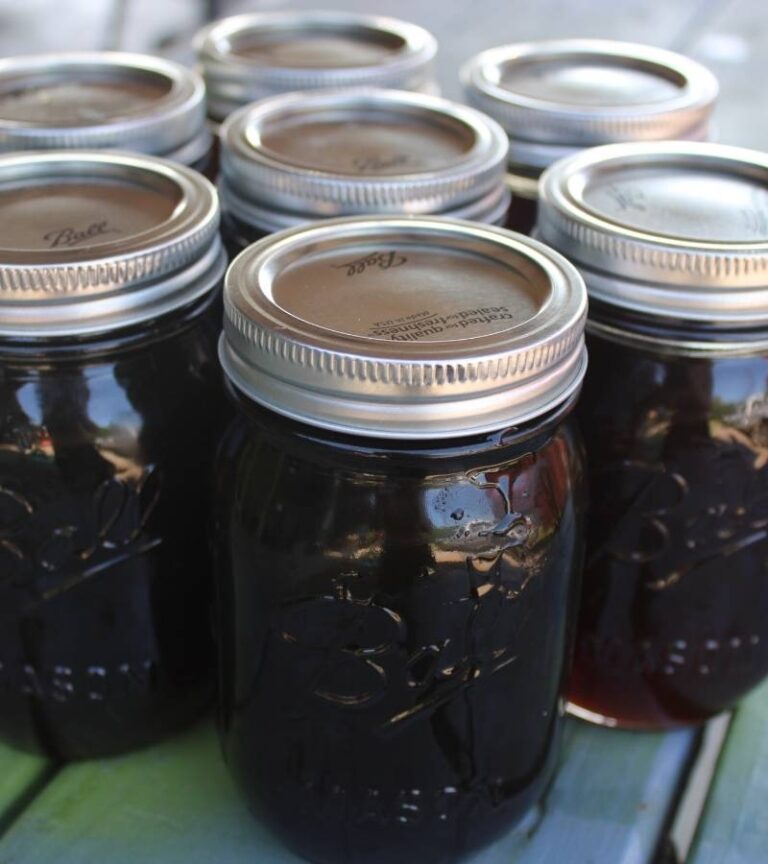 90 Practical Homesteading Essentials You Need for Self-Sufficiency ...