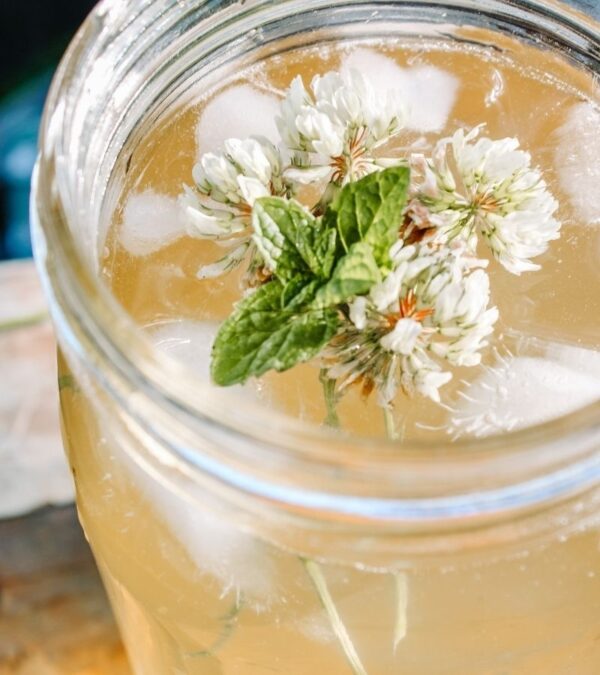 Simple White Clover Tea with Mint & Honey Mama on the Homestead