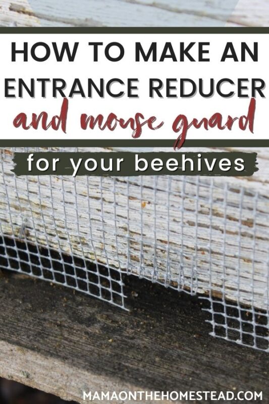 DIY Beehive Entrance Reducer & Mouse Guard Mama on the Homestead