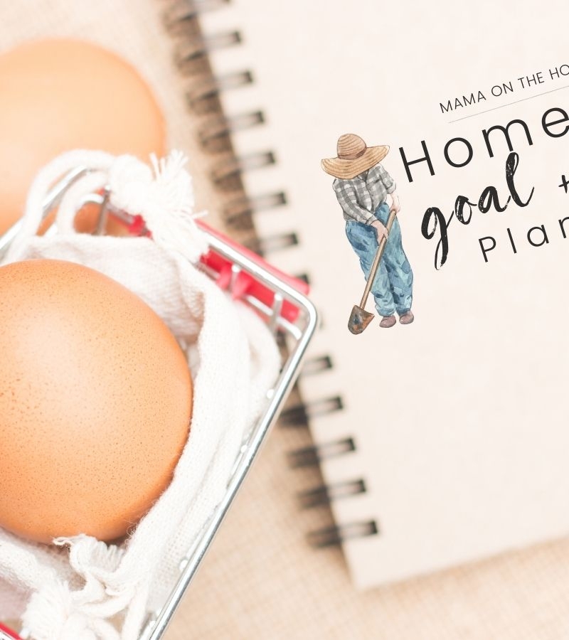 Image of farm fresh eggs and The Homestead Goal + Project Planner