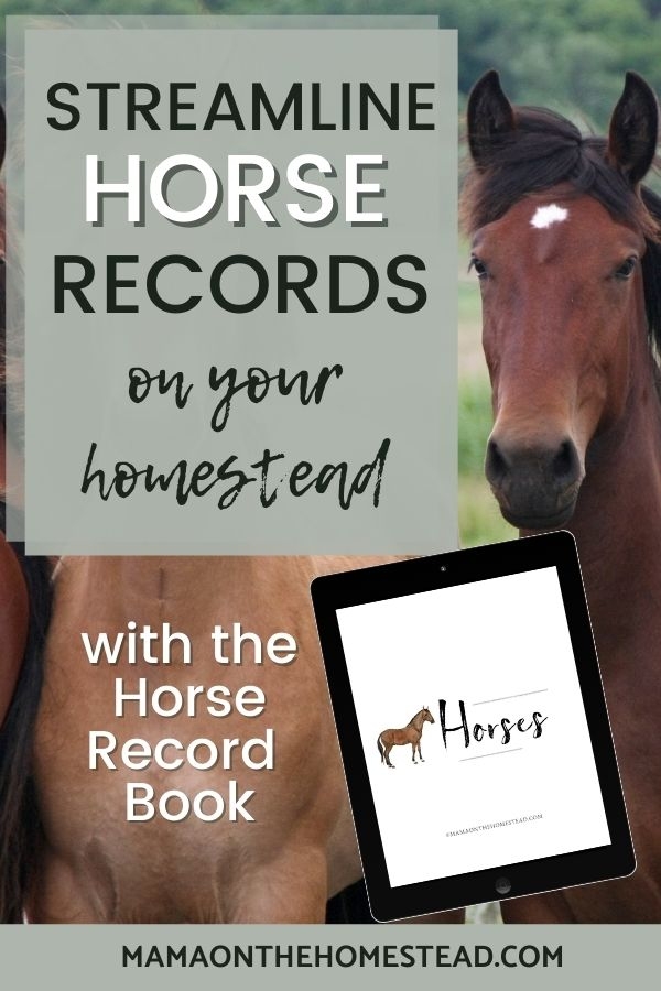The Homestead Horse Record Book PDF Mama on the Homestead