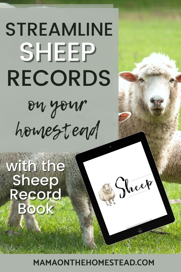 The Homestead Sheep Record Book PDF Mama on the Homestead