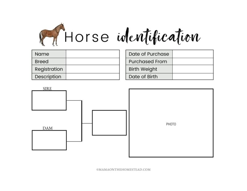 The Homestead Horse Record Book PDF Mama on the Homestead