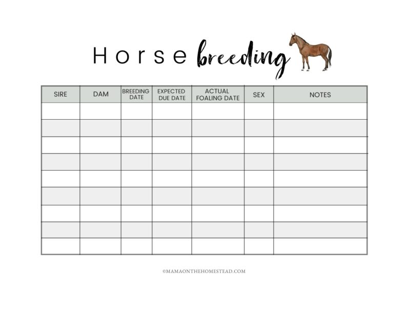 The Homestead Horse Record Book PDF Mama on the Homestead