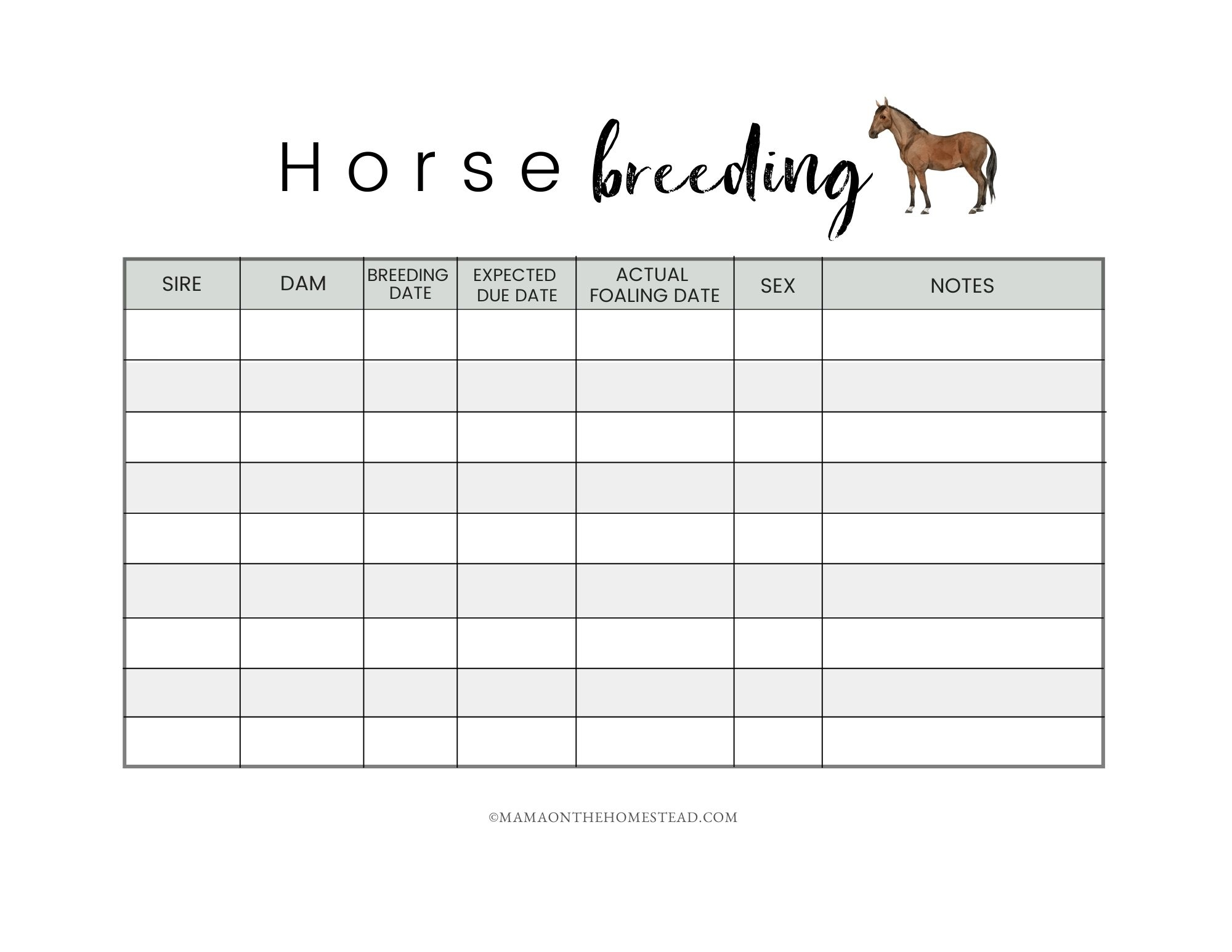 The Homestead Horse Record Book PDF Mama on the Homestead