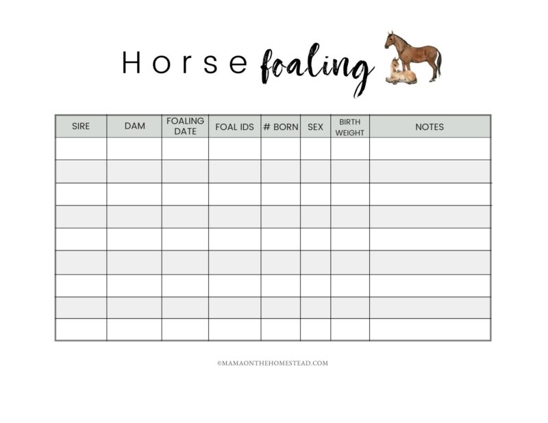 The Homestead Horse Record Book PDF Mama on the Homestead