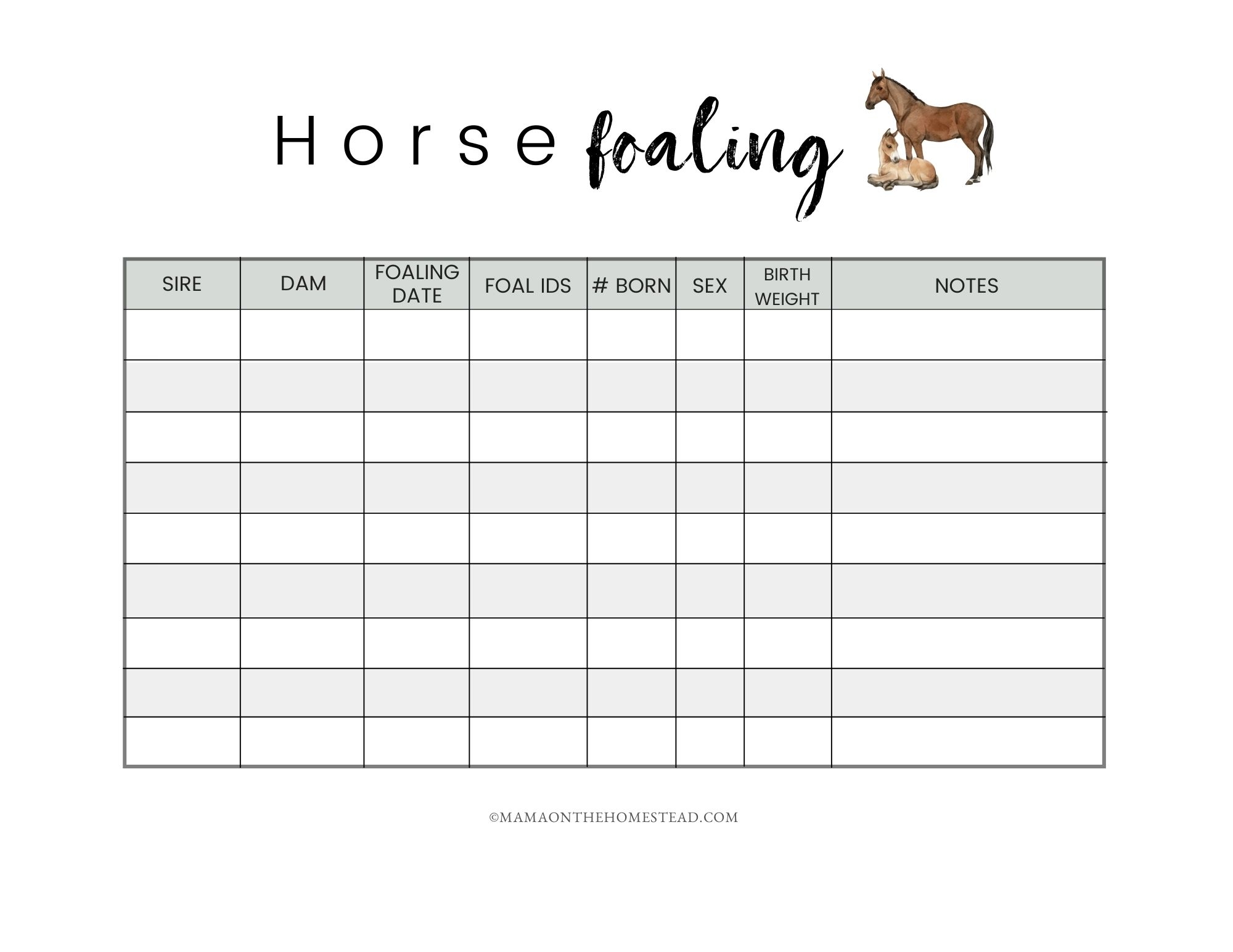 The Homestead Horse Record Book PDF Mama on the Homestead