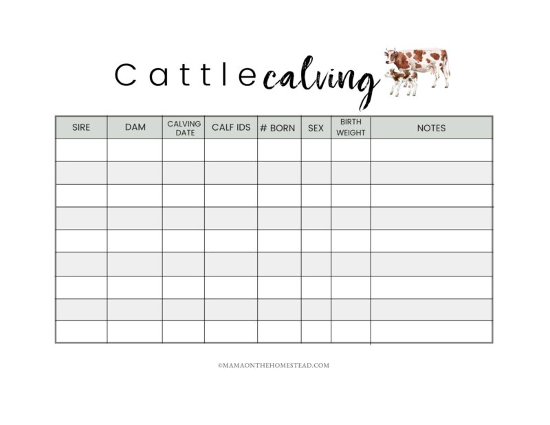 The Homestead Cattle Record Book PDF Mama on the Homestead