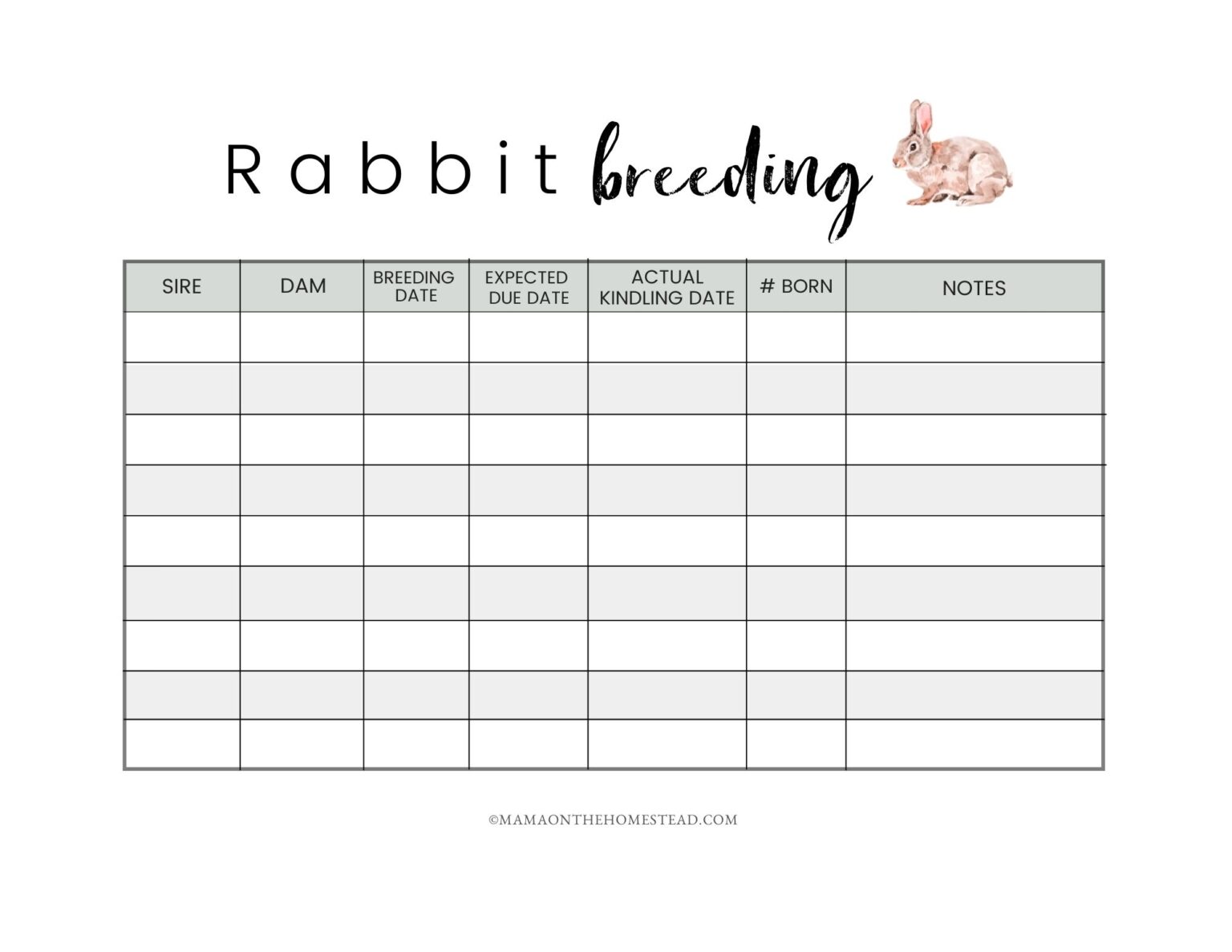 The Homestead Rabbit Record Book PDF Mama on the Homestead