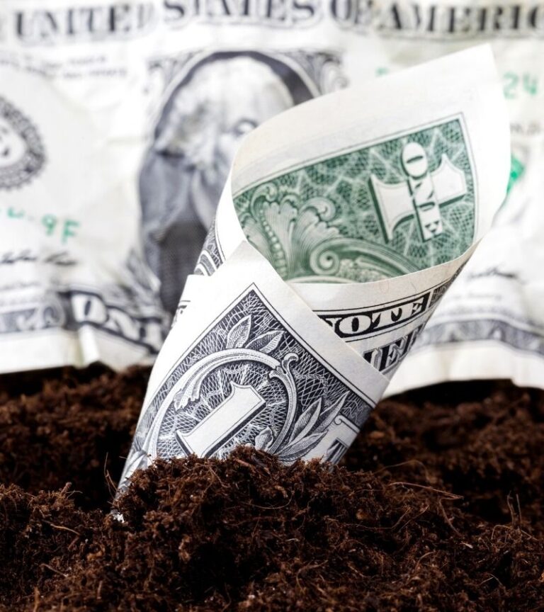 The Homestead Finance Tracker Mama on the Homestead