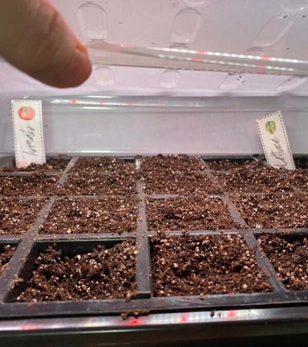 10 Essential Seed Starting Supplies Mama on the Homestead