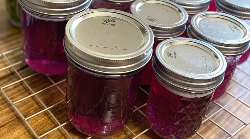 Wild Violet Jelly Recipe Foraging Tips Mama On The Homestead