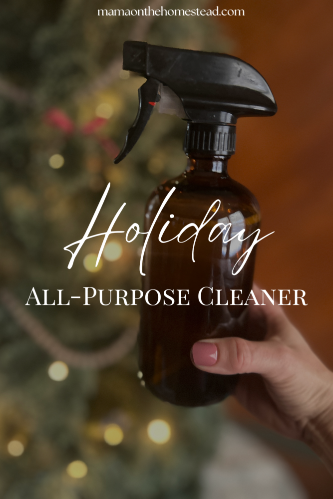 Holiday All Purpose Cleaner