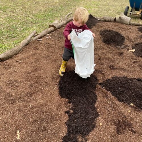 The Back to Eden Gardening Method Mama on the Homestead