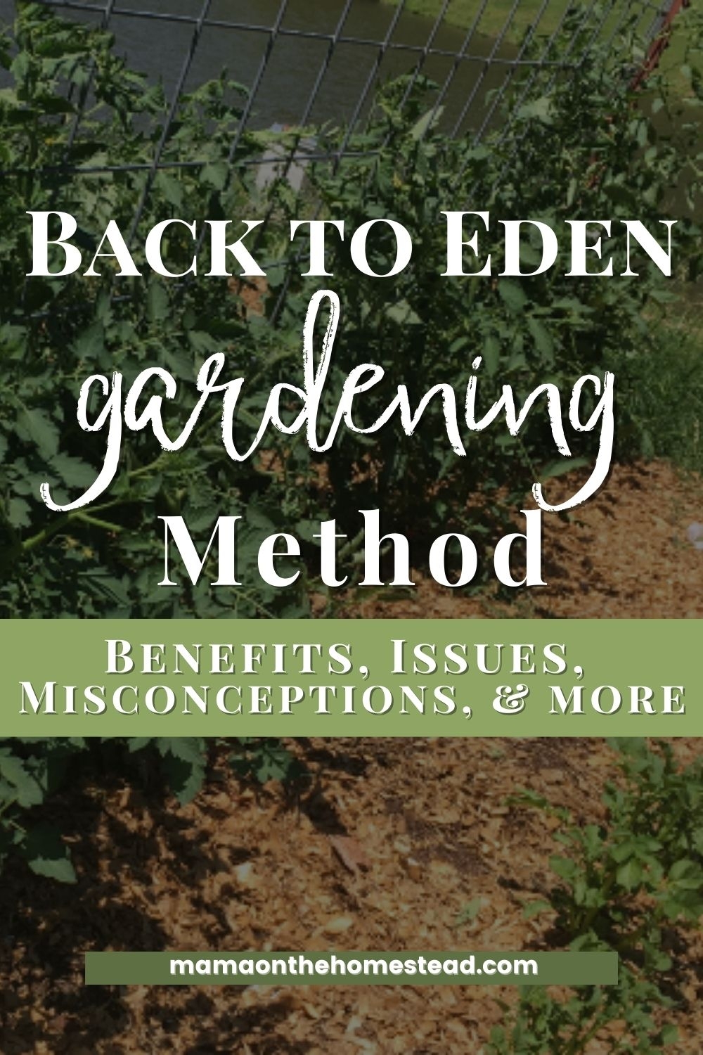 The Back to Eden Gardening Method Mama on the Homestead