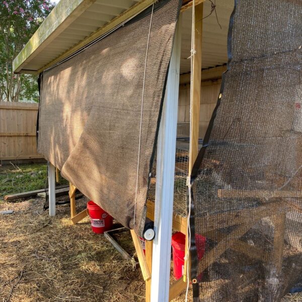 12 Ways to Keep Rabbits Cool in Summer Mama on the Homestead